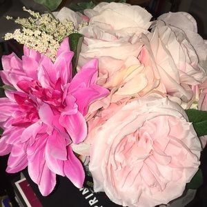 Meet your Posher, Stefanie